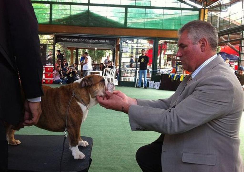 Melhor Jovem Absoluto - Kevin Davis - 8ª Nacional Abrabull