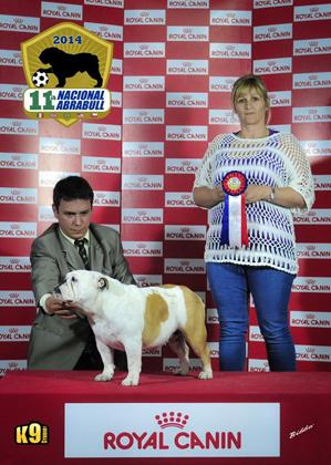 Porcha: Melhor Fêmea da classe Aberta 15ª Copa Paulista Abra