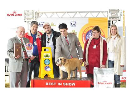 JOY é 2 x Best In Show na 9ª Nacional Abrabull!!!