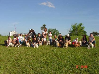 Turma do Bulldog - POA