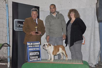 Reserva do Rei Vicente é Melhor Cachorro na Argentina!!!