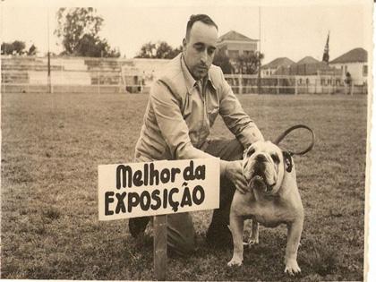 O primeiro Bulldog a ganhar uma exposição no Brasil!!!