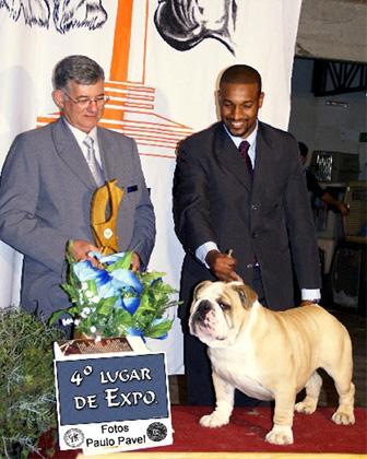 BEST IN SHOW EM FAMÍLIA...